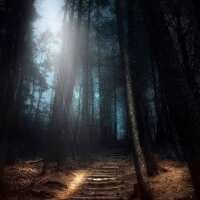 Lesen LED Bilder Bewertungen